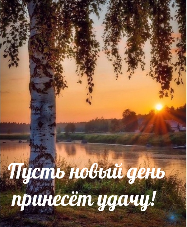 Пусть новый день принесёт удачу!
