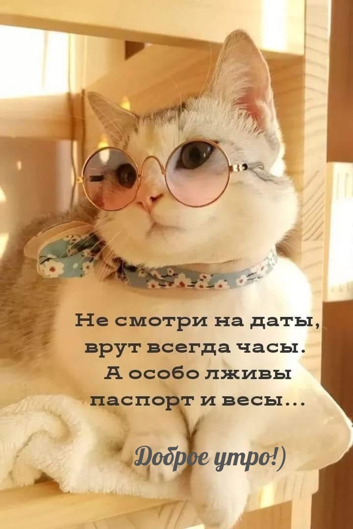 Доброе утро!)