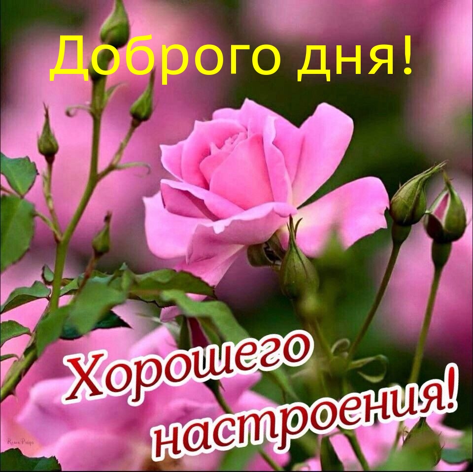 Доброго дня!
