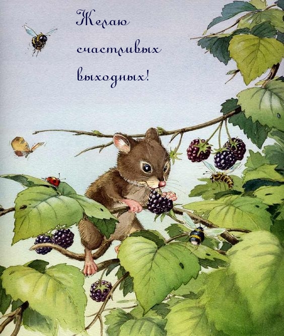 Желаю счастливых выходных!