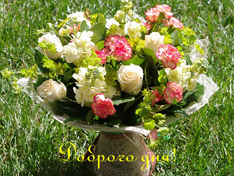Доброго дня!