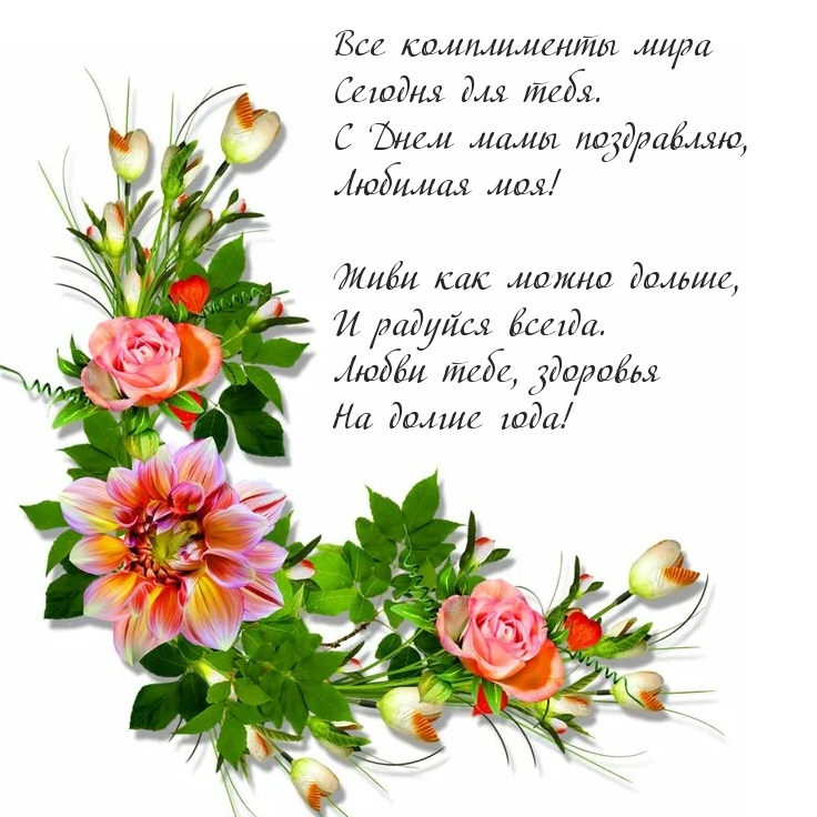 С Днем мамы поздравляю, любимую маму. Стихотворение