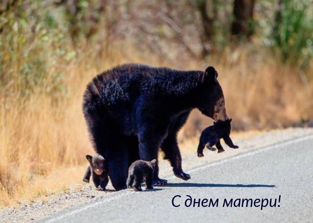 С днем матери!