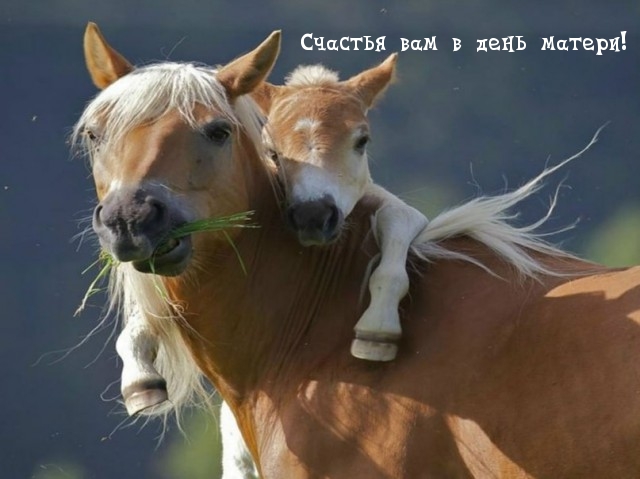 Счастья вам в день матери!