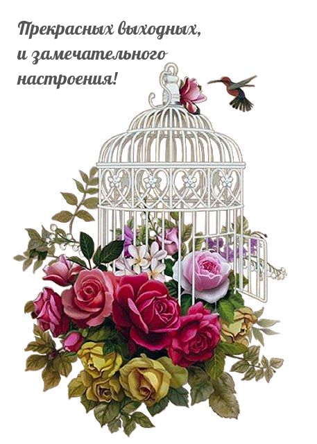 Прекрасных выходных, и замечательного настроения!