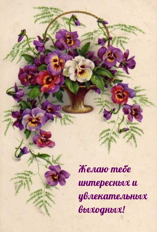 Желаю тебе интересных и увлекательных выходных!