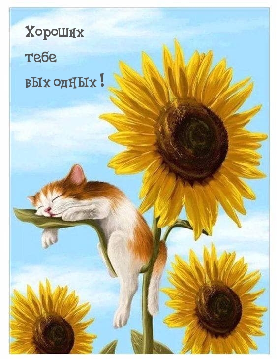 Хороших тебе выходных!