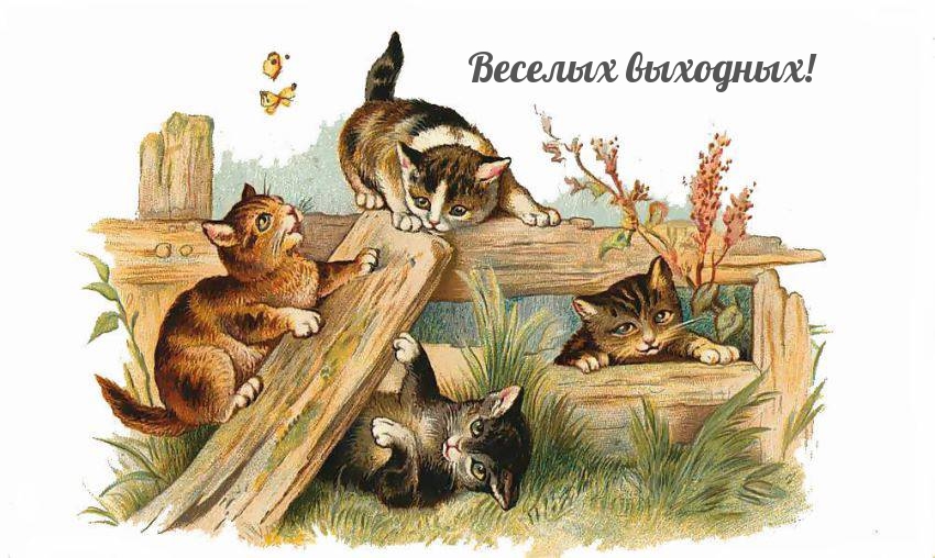 Веселых выходных!