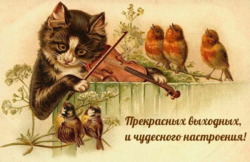 Прекрасных выходных, и чудесного настроения!