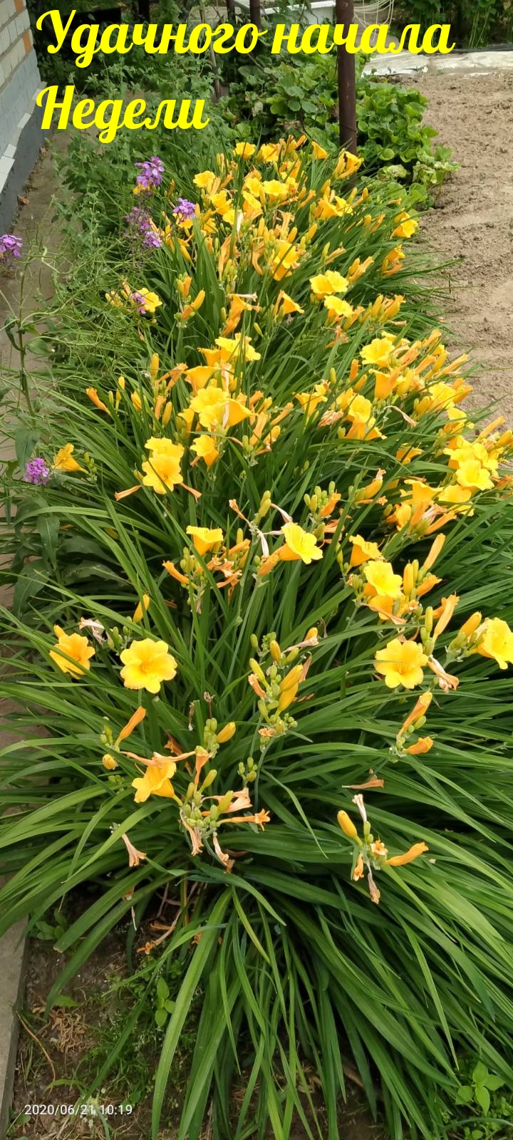 Удачного начала Недели