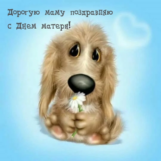 Дорогую маму поздравляю с Днем матери!