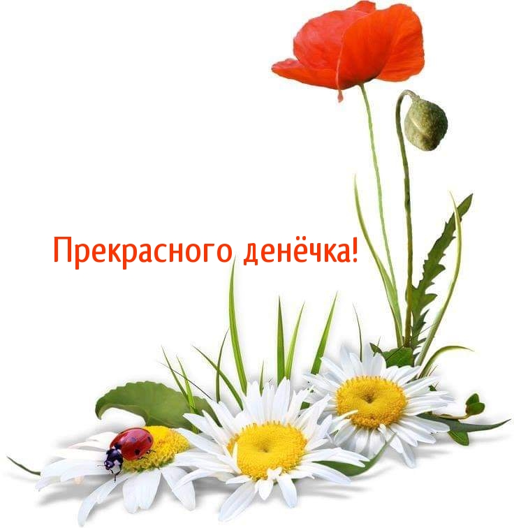 Прекрасного денёчка!