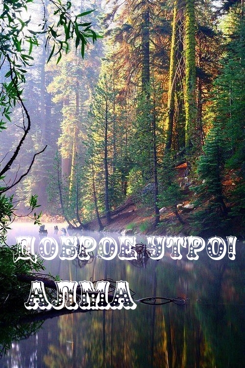 Алма, доброе утро!