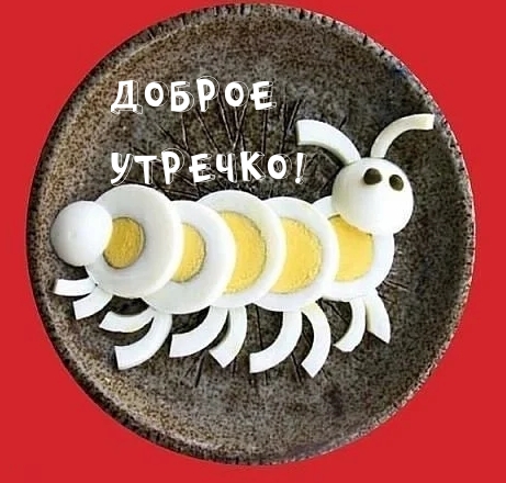 ДОБРОЕ УТРЕЧКО!