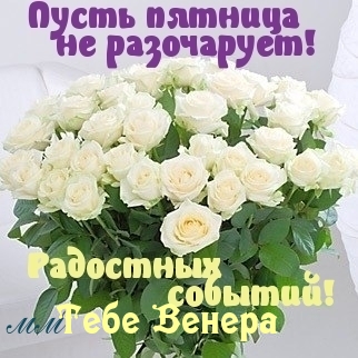 Тебе Венера, пусть пятница не разочарует!