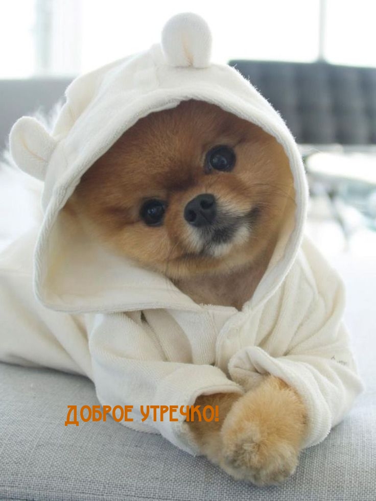 Доброе утречко!