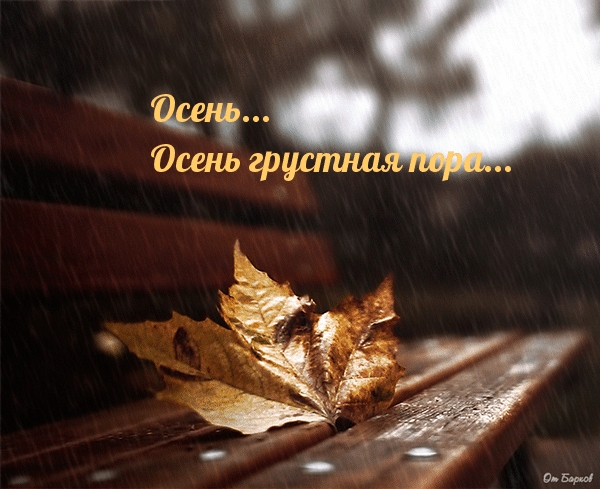 Осень… Осень грустная пора…