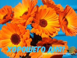Хорошего дня!