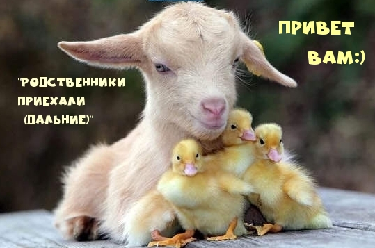 ПРИВЕТ ВАМ:)