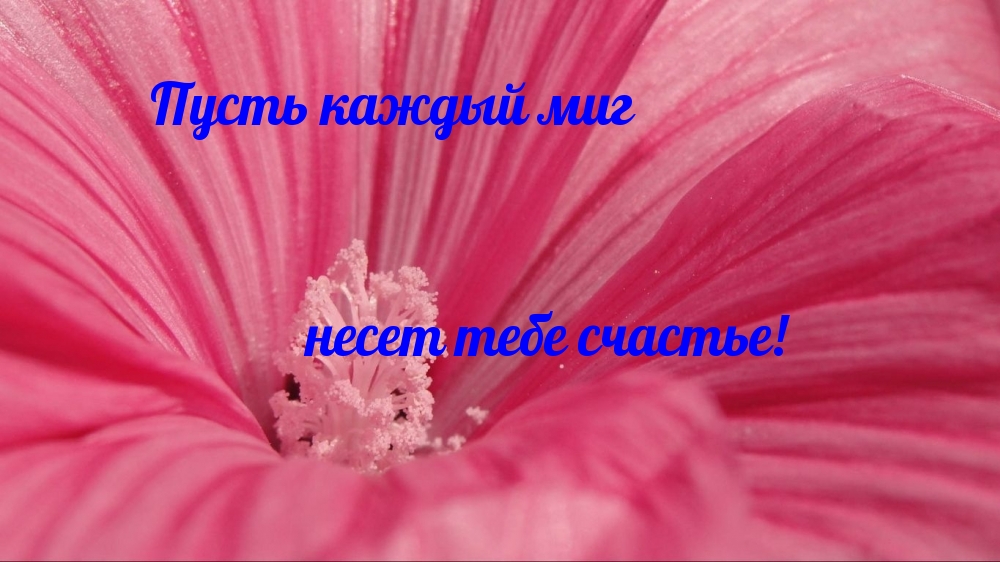 Желаю счастья в каждом мгновении!