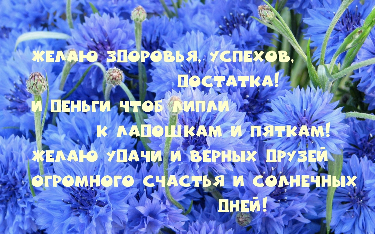 Желаю здоровья, успехов, достатка!