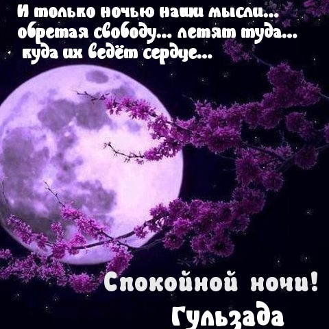 Гульзада, спокойной ночи!