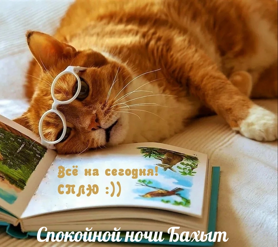 Спокойной ночи Бахыт, все на сегодня, сплю