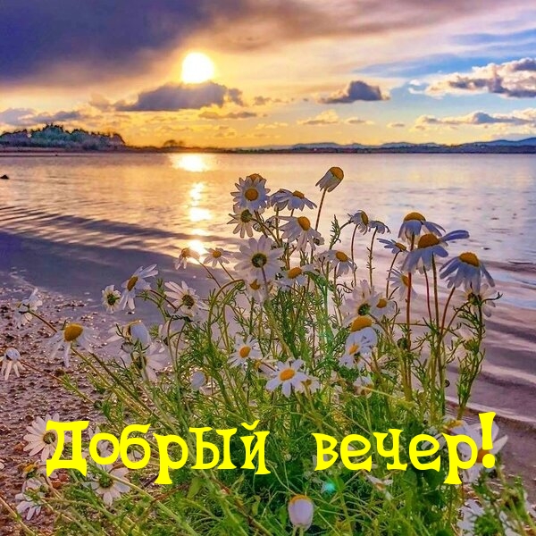Добрый вечер!