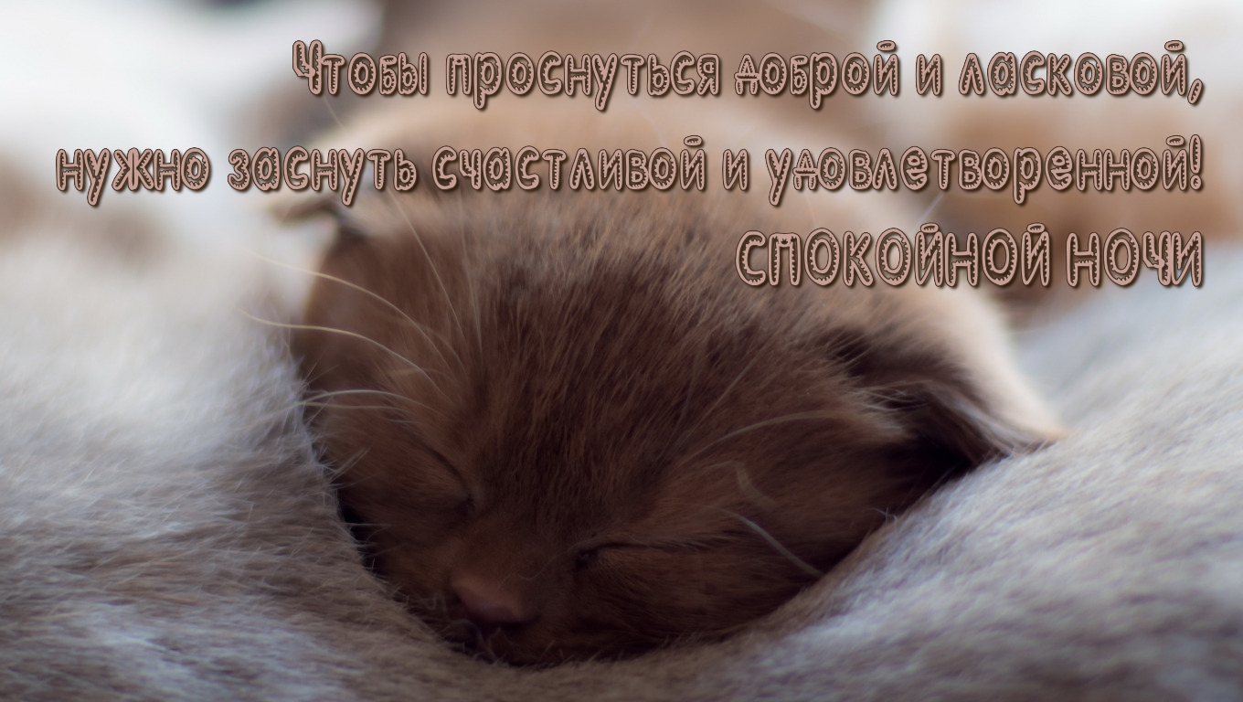 Спокойной ночи! Проснись доброй и ласковой)