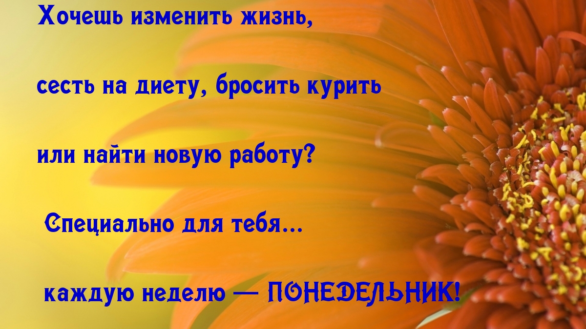 Хочешь изменить жизнь, сесть на диету?