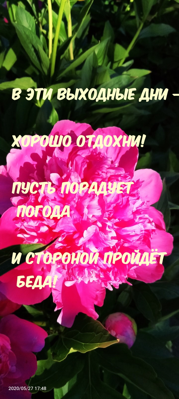 В эти выходные дни — Хорошо отдохни!