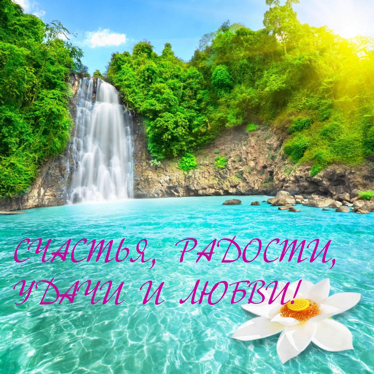СЧАСТЬЯ, РАДОСТИ, УДАЧИ И ЛЮБВИ!