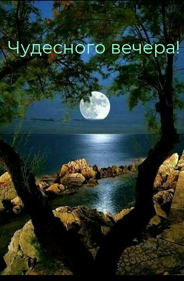 Чудесного вечера!