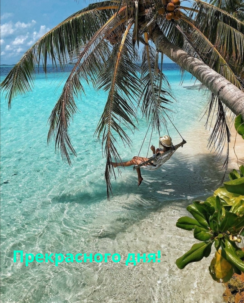 Прекрасного дня!