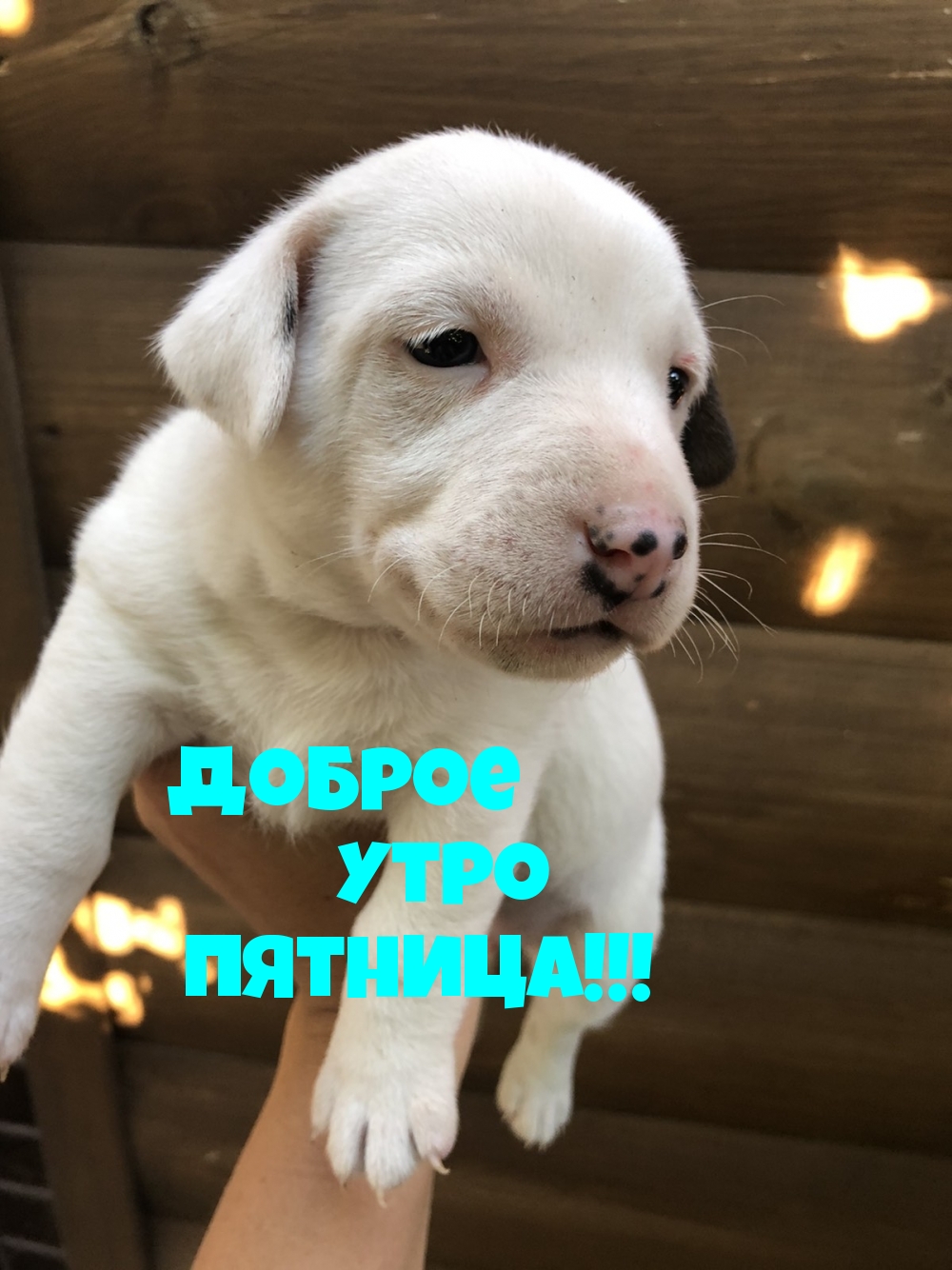 Доброе Утро Пятница!