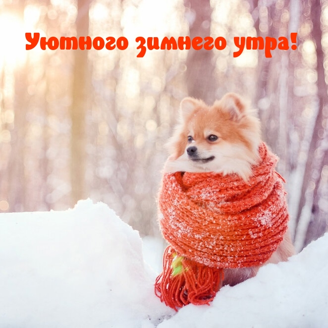 Уютного зимнего утра!