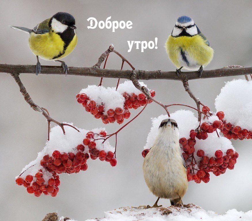 Доброе утро!