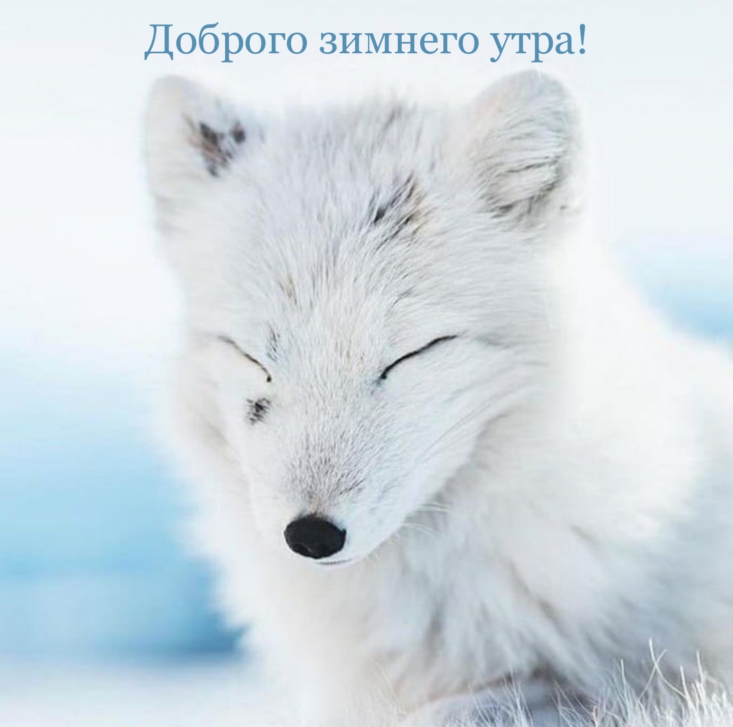 Доброго зимнего утра!