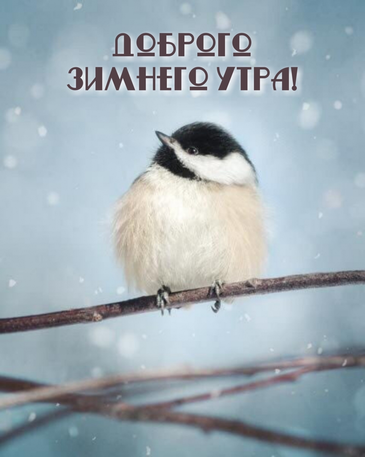 Доброго зимнего утра!