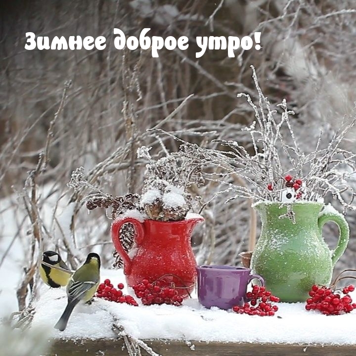 Зимнее доброе утро!
