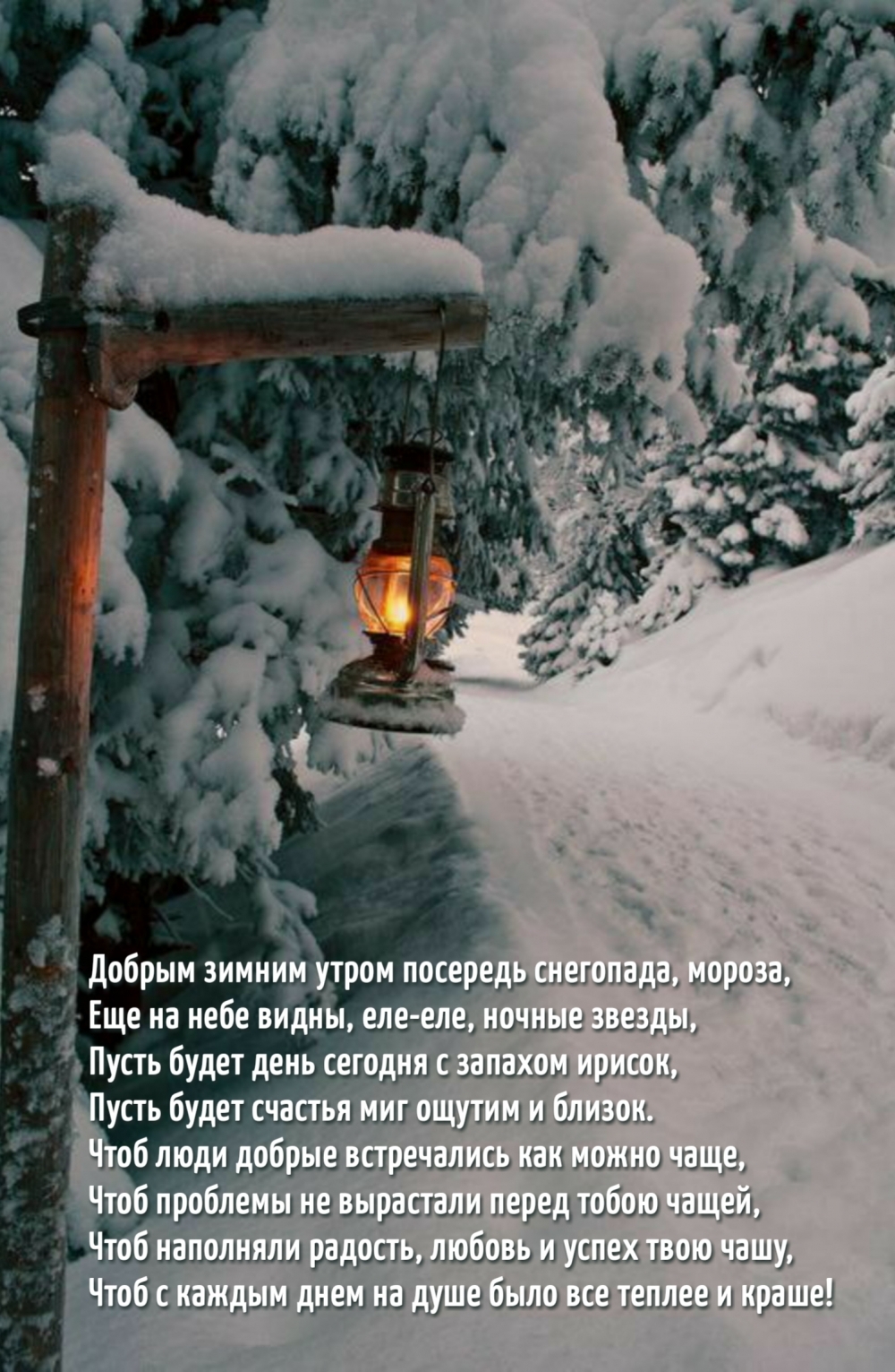 Добрым зимним утром посередь снегопада, мороз