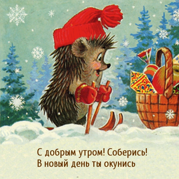 С добрым утром! Соберись! В новый день ты окунись