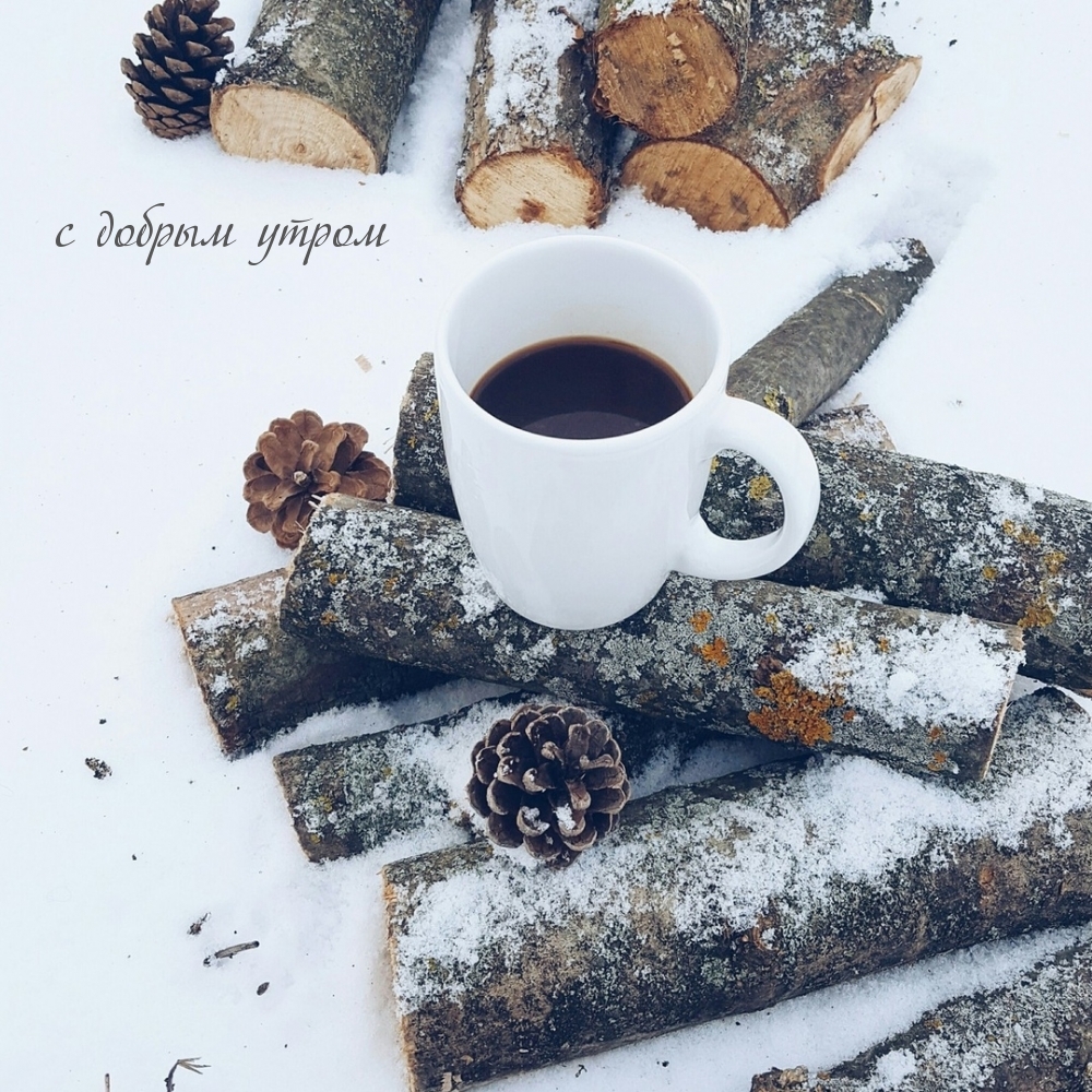 с добрым утром