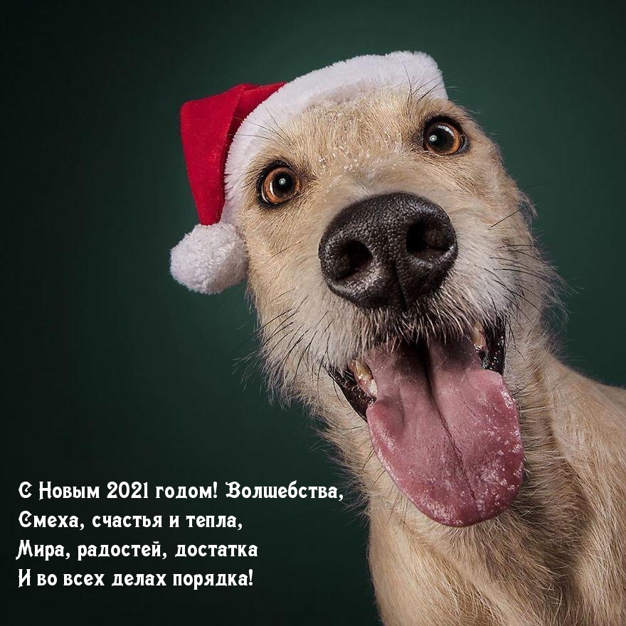 С Новым 2021 годом! Волшебства!