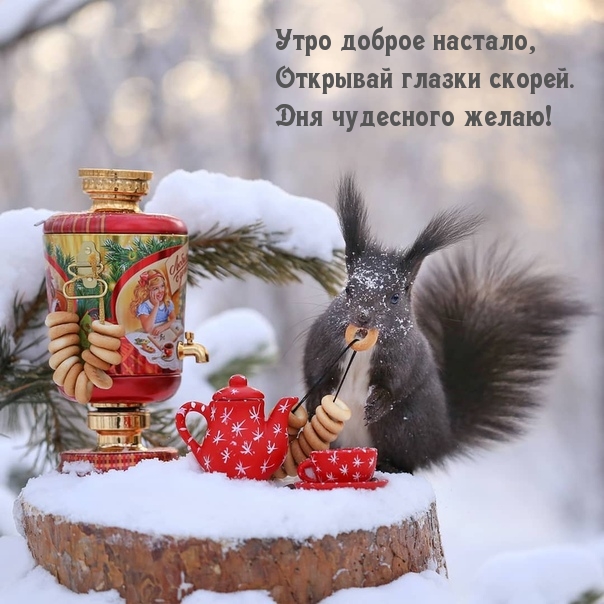 Утро доброе настало, Открывай глазки скорей