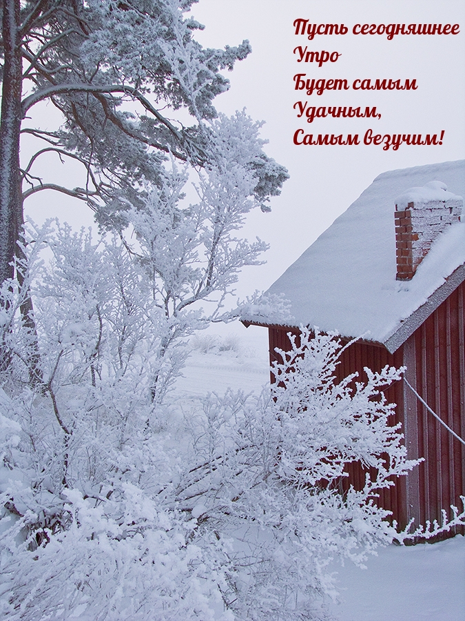 Пусть сегодняшнее  Утро  Будет самым  Удачным