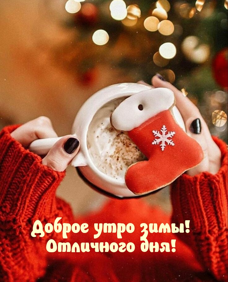 Доброе утро зимы! Отличного дня!