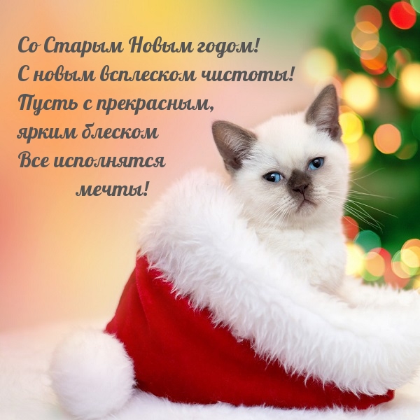 Со Старым Новым годом! Пусть исполнятся мечты