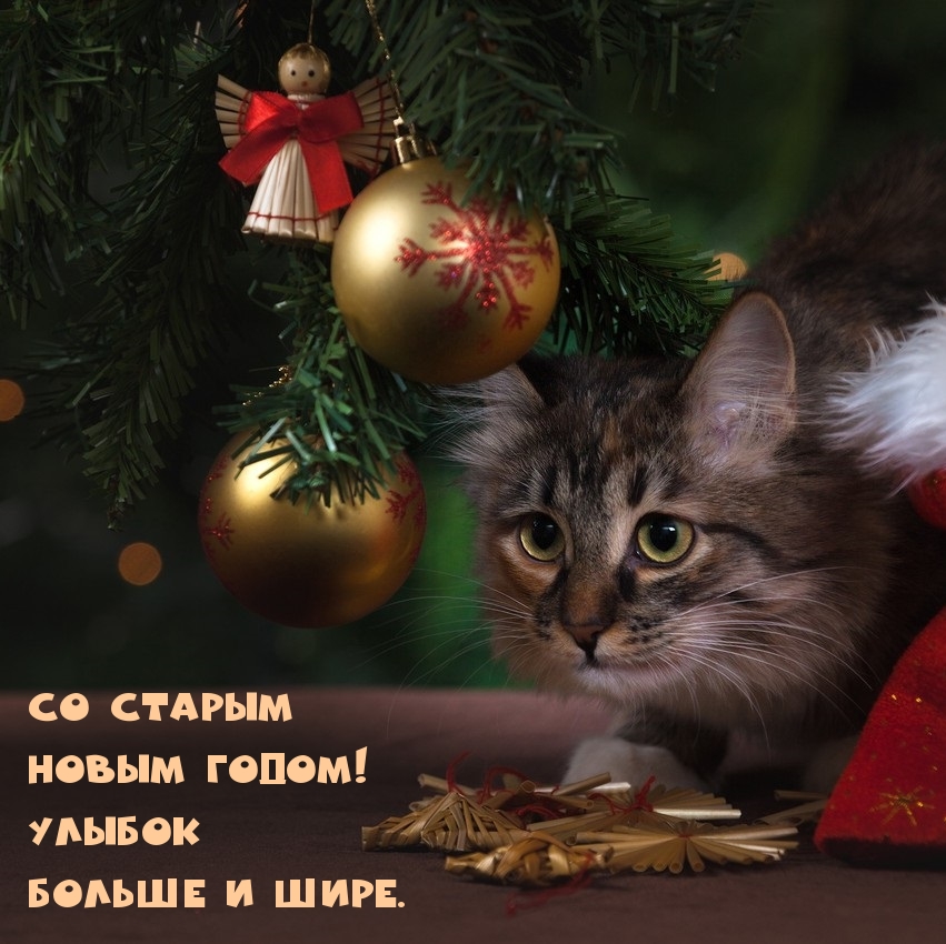 Со Старым Новым Годом! Улыбок больше и шире.