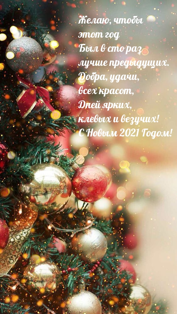 Желаю, чтобы  этот 2021 год Был в сто раз  лучше предыдущих